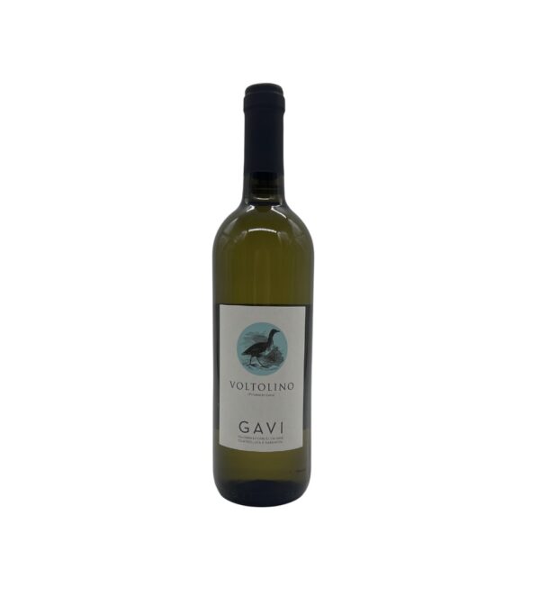 2024 Voltolino Gavi DOCG
