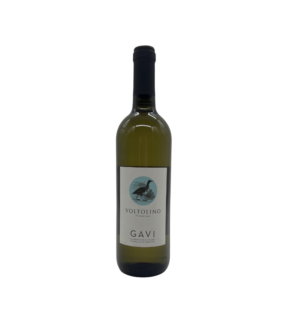 2024_voltolino_gavi_docg.jpeg 2024 Voltolino Gavi DOCG