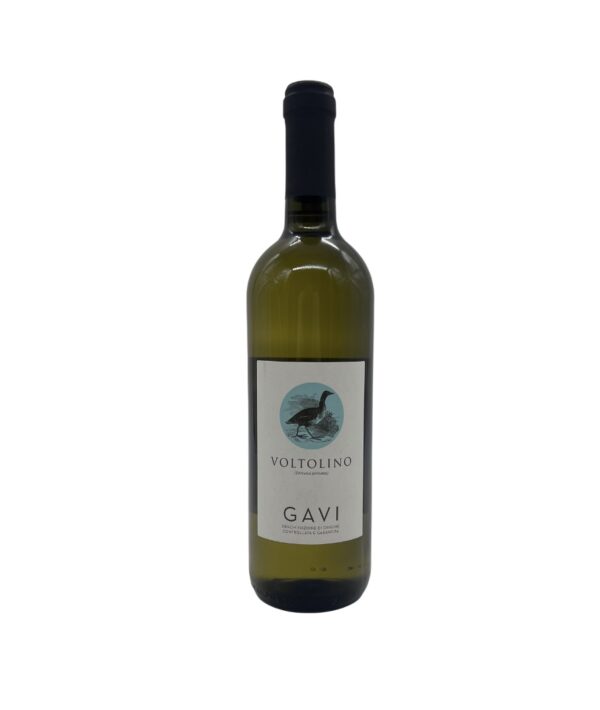2024 Voltolino Gavi DOCG