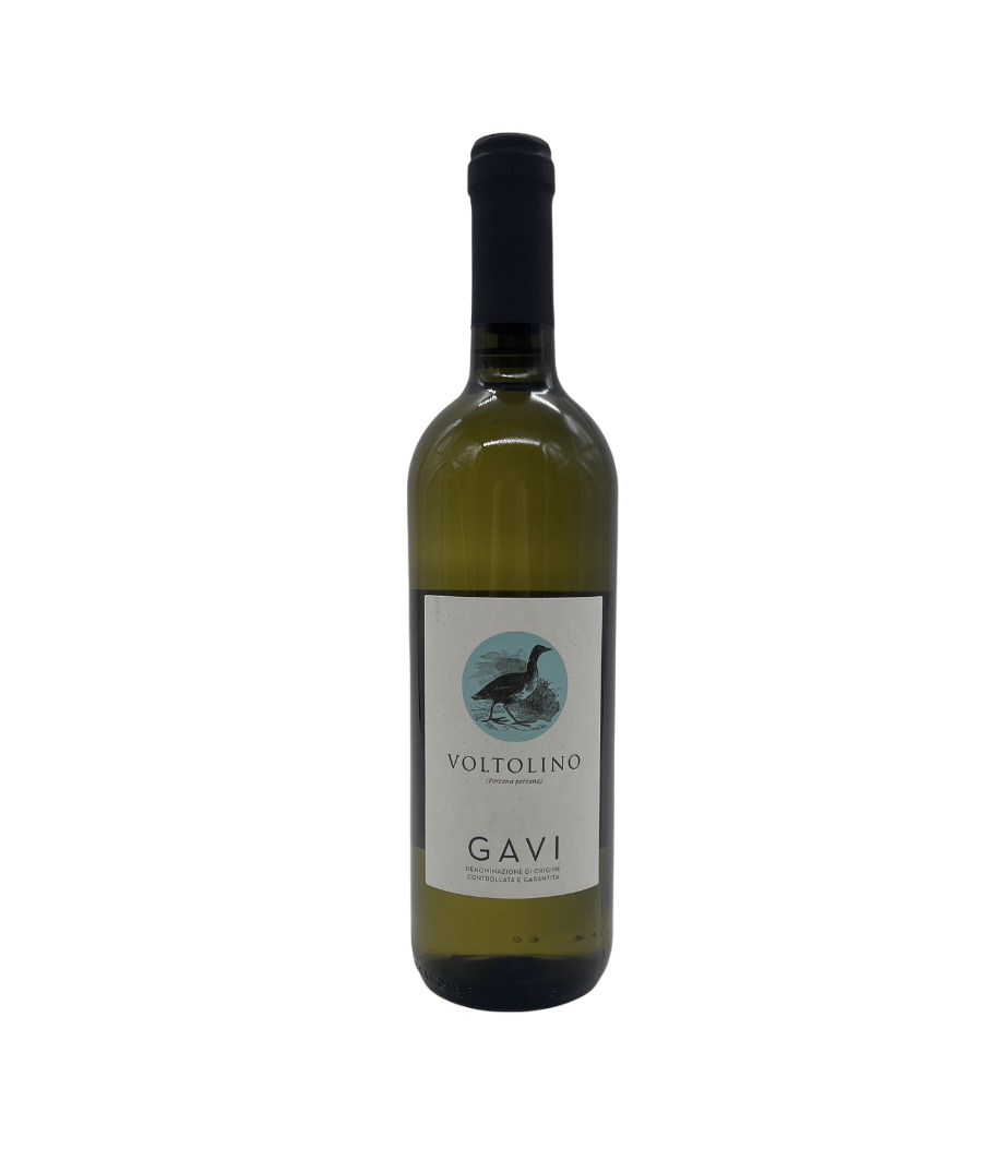 2024 Voltolino Gavi DOCG